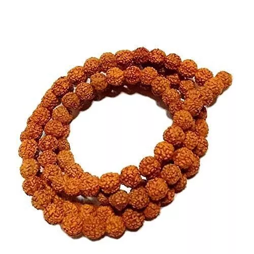 Rudraksha Mala (Brown, 10 mm) for Wearing and Japa Mala ( 5 Mukhi 108 beads )