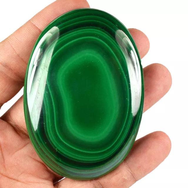 557 Cts Huge Natural Artistic Green Malachite Oval Cabochon Gemstone Top Grade