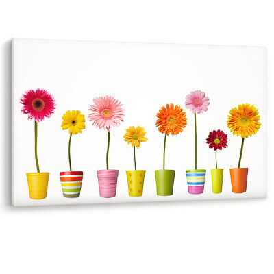 Flower Pots Colours Daisy Bathroom Bed Large Canvas Wall Art Picture Print Color