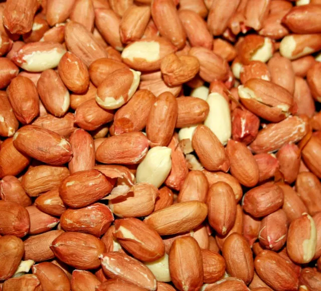 PEANUTS 350g 1kg 2.5k 5kg 10kg 25kg : Wild Bird Food Dobby Nuts vf Animal Kernel