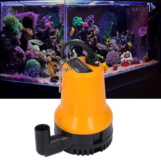 Pompa sommergibile silenziosa pompa acqua ad alto sollevamento 4M 45W 5400Rpm 70L pompa sentina pesce