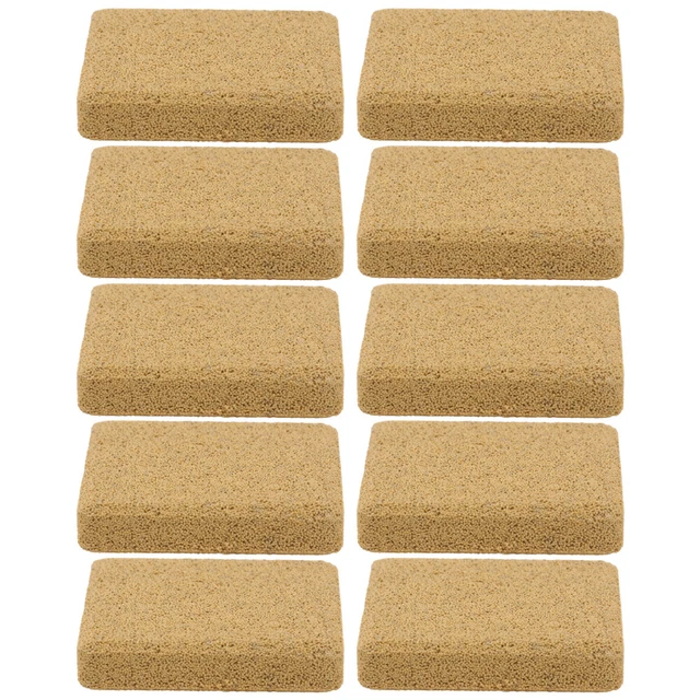 10 piezas placas de cultivo de coral bandejas fijadoras de coral acuario