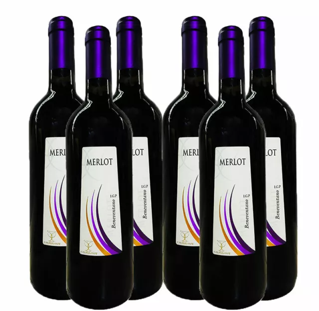 Vino Rosso Merlot Beneventano  Igp x 6 Bottiglie 0.75ml Cantine Carannante