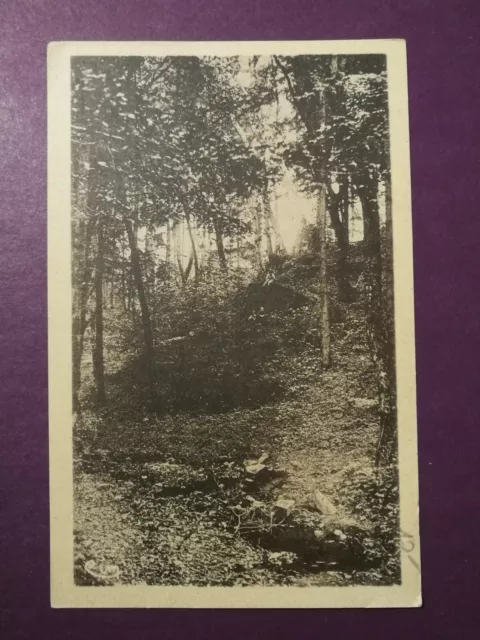 CPA 58 SAINT HONORÉ les BAINS (nièvre) Forêt