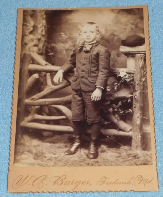 Antique Cabinet Card Photo Young Child Little Boy In Suit Frederick Maryland