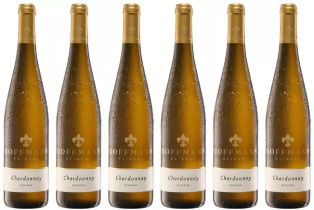 6x Chardonnay, 2022 - Weingut Rudolf Hoffmann, Mosel! Wein