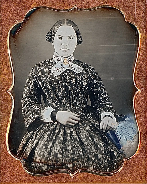 Young Lady With Floral Patterned Dress Woven Hair 1/9 Plate Daguerreotype K680