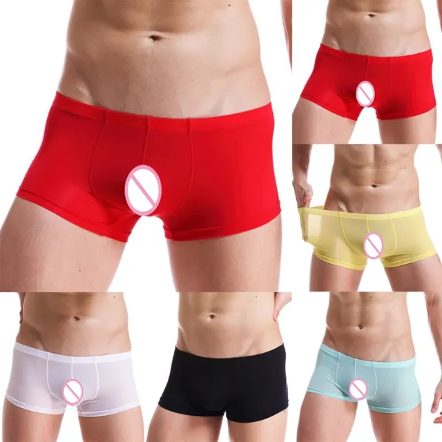 Short boxer séduisant pour hommes à voir à travers maille slip sexy pour la c