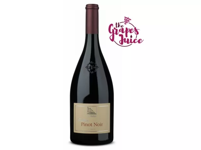 Terlan Pinot Noir 2021 Vino Rosso Alto Adige Doc