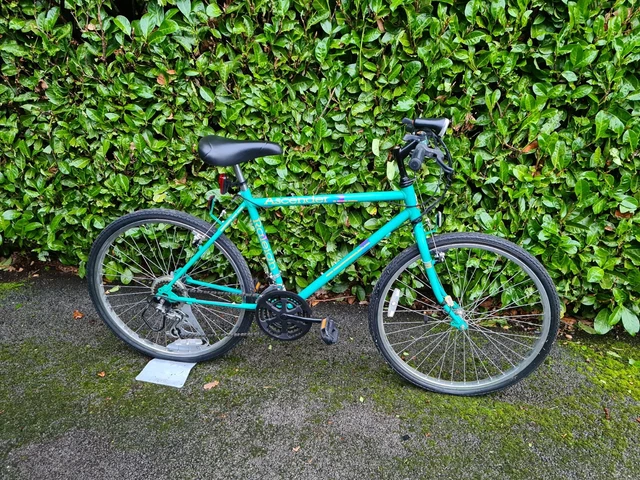 Raleigh ascender mountain bike cheap