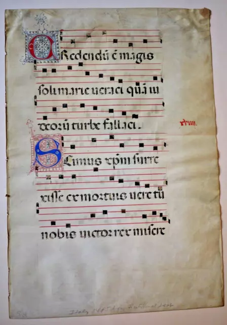 Authentic Medieval Catholic Latin Sheet Music on Vellum Double Sided, 1485