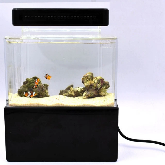 Mini Fish Aquarium Small Betta Fish Tank With Water Filter Desktop Decoration 7
