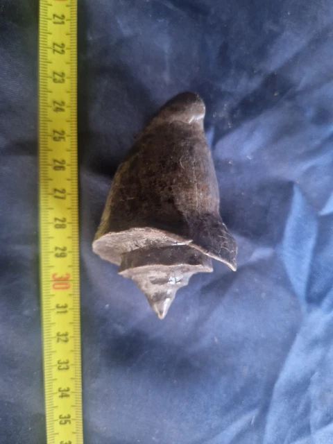 Intex Alligatore Gigante Cavalcabile 203x114 Cm | Leroy Merlin - Foto 1