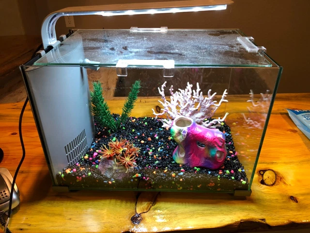 Top Fin® Premium Glass Aquarium - 5 Gallon Tank