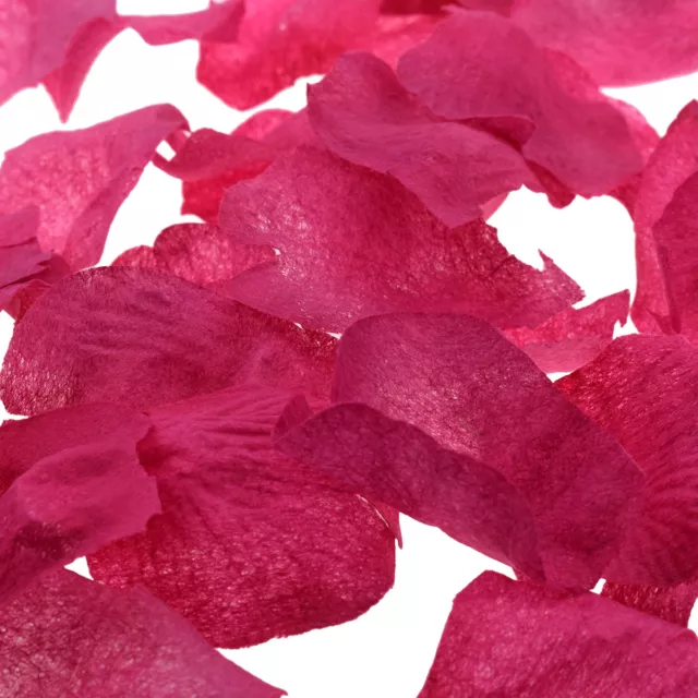 Pack of 200 Hot Pink Organza Wedding Petals - XNB023