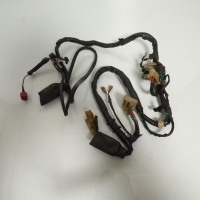 CMT Fascio Elettrico origine per Moto Honda 125 CMT 32100-KC8-0000 Occasione 