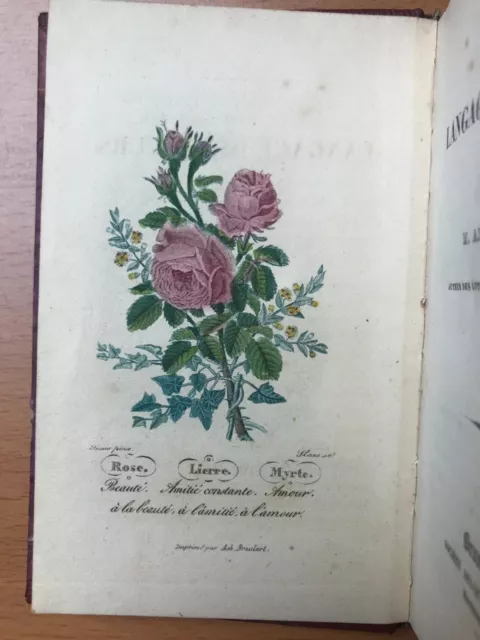 Le langage des fleurs - Aimé Martin - Planches couleurs - 1840