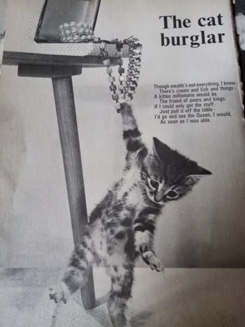 Mb01 Ephemera 1968 picture the cat kitten burglar