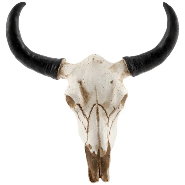 1X(RéSine  Vache TêTe de Crâne Tenture Murale DéCor 3D Animal Faune Sculptu7582