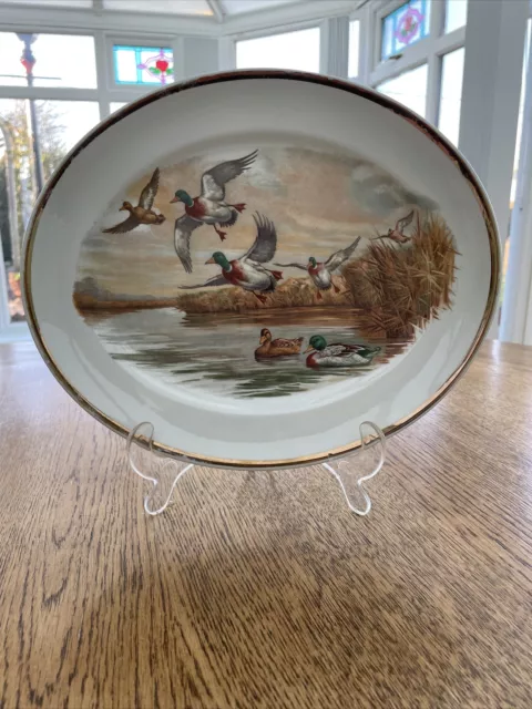 burleigh ware. Ironstone. Ducks. Oval plate