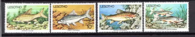 Lesotho - 1977 Fish Set MNH