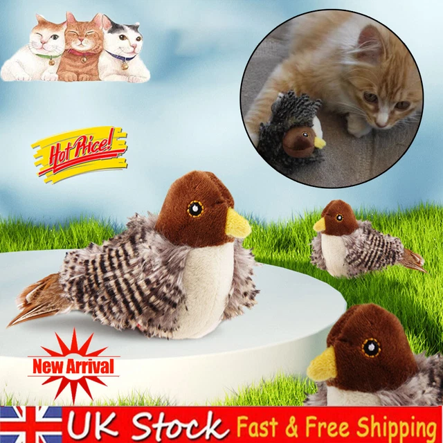 Cat Toys for Indoor Cats Interactive Cat Toy with Real Chirping Bird GF