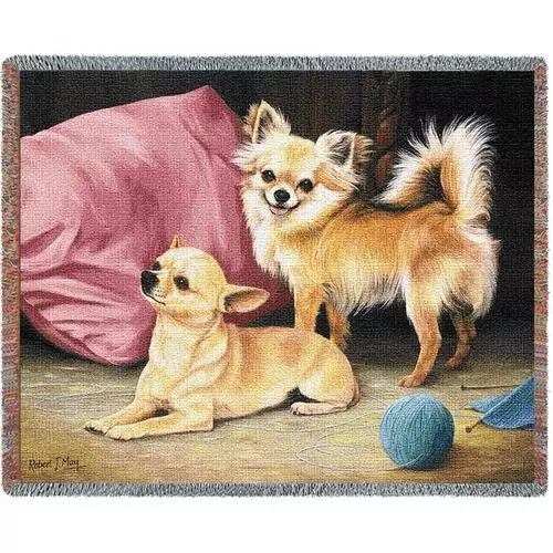 Throw Tapestry Afghan - Chihuahua Pair by Robert May 1142 IN STOCK