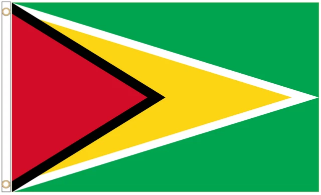 Cortina ataúd bandera de Guyana - envío rápido