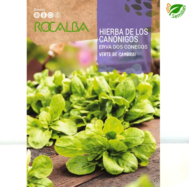 Hierba de los Canonigos ( 6 gr / +5.000 semillas aprox ) seeds - Canónigos