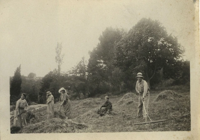 PHOTO ANCIENNE Vintage Snapshot Femme Agriculture Paysan Champ PHOTO ANCIENNE Vintage Snapshot Femme Agriculture Paysan Champ