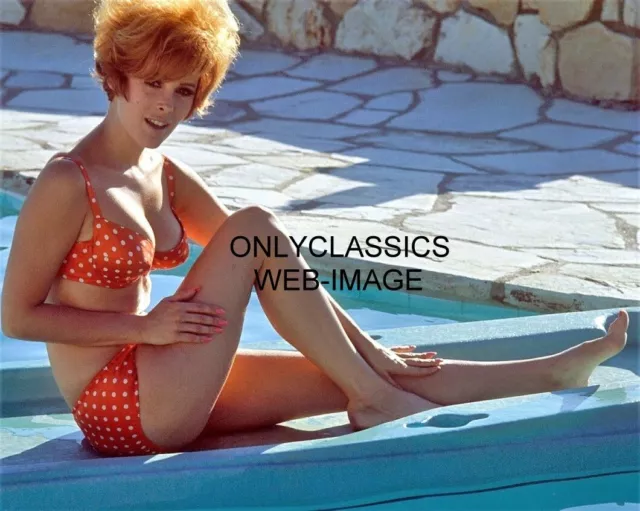 Sexy Actress Jill St. John In Bikini 8X10 Photo Bathing Beauty Pinup Cheesecake