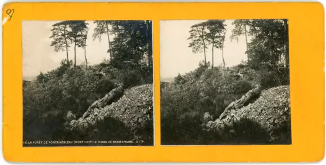 Stereo, France, la forêt de Fontainebleau, Mont-Ussy,  le chaos de Shakespeare V