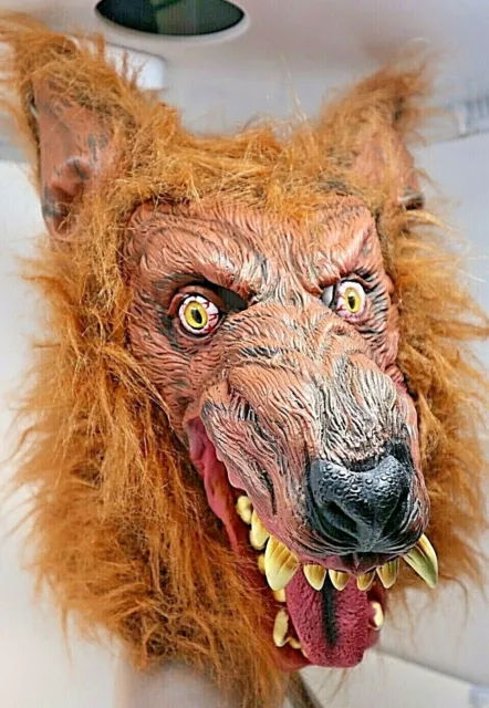 https://www.picclickimg.com/kJIAAOSwTeNhhV4y/Werewolf-Mask-Adult-Size-Rubber-Face-Brown-Fur.webp