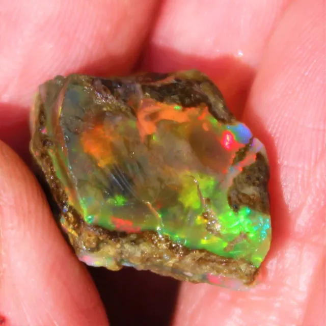 Opale de Feu Brute Multicolore d'Ethiopie de 14,180 ct
