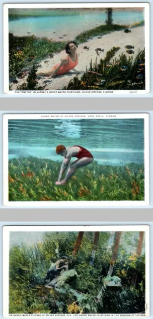 3 Postcards SILVER SPRINGS, FL ~ "The Tempter" UNDER WATER FAIRYLAND c1920s