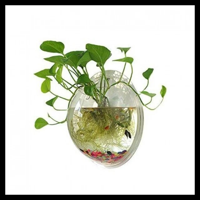 Hanging Wall Mounted Fish Bowl Betta Tank Aquarium - Clear (Medium)