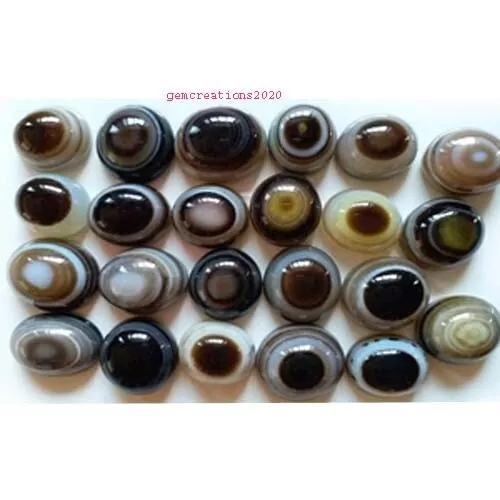 (19-24 Teile Menge) 1000.00 Cts. Natürlich Auge Achat Cabochon Lose Edelstein