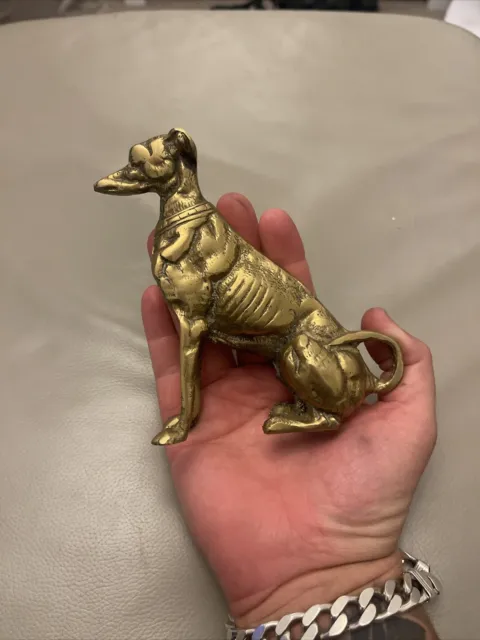 Collectable Large Heavy Brass Greyhound Whippet Lurcher Dog Sat Up  Free Uk P+P