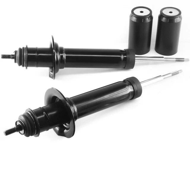 2x Ammortizzatore a Gas Assale Posteriore per Mercedes Benz Classe M W163 Nuovo
