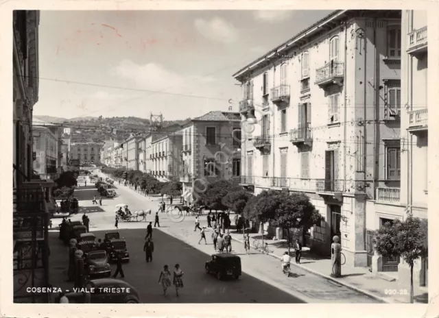 Cartolina Cosenza Viale Trieste animata 1957