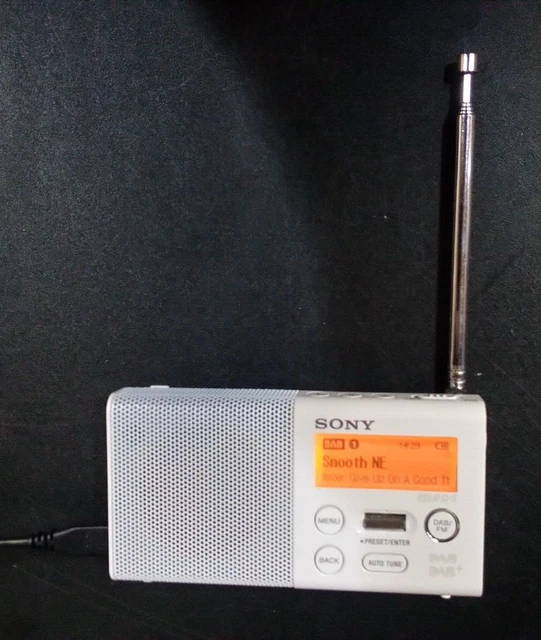 Batterie Pour Radio Sony XDR-P1DBP - Lithium-polymère 3.7V, 1100mAh/4Wh - Rechange Compatible, Haute Performance