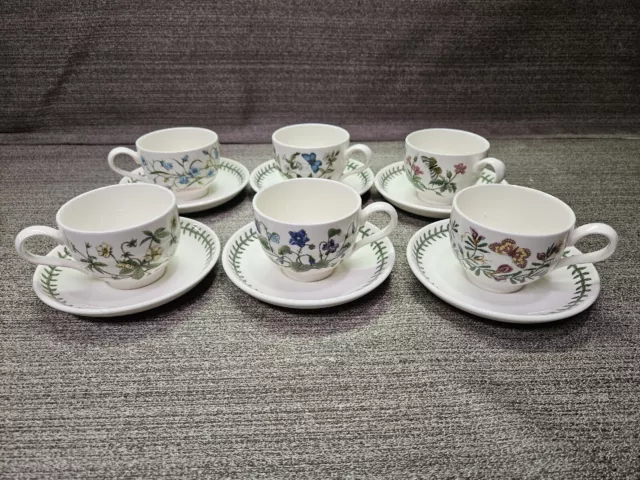 Botanic Garden Teacup and Saucer | Set of 6 with Assorted Floral Motifs | 7 Oz T