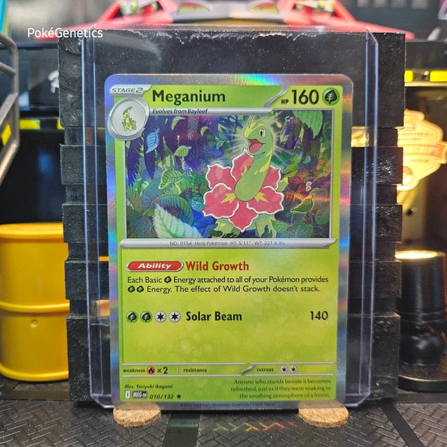 Coffret 10 Cartes Pokémon – Méganium 010/132 Holo Ou Reverse – Myboost X Méga-Évolution 1 – Français