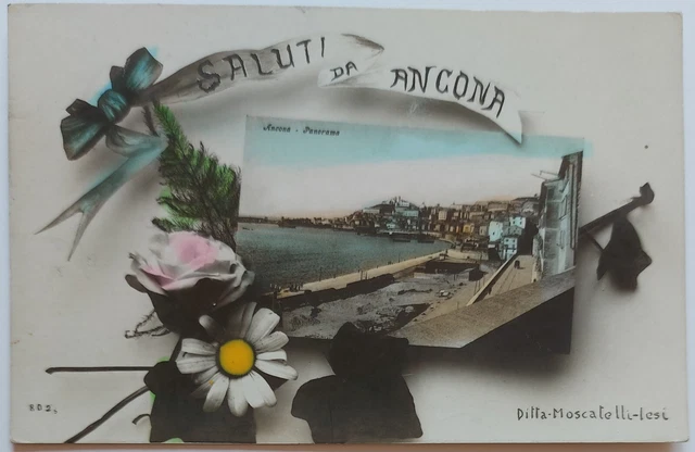 Saluti da Ancona - Panorama - cartolina viaggiata Moscatelli Jesi