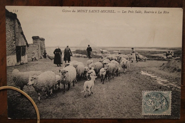 CPA AK 1900's Strikes du MONT St MICHEL Les Prés Salés Animated Return to the Shore