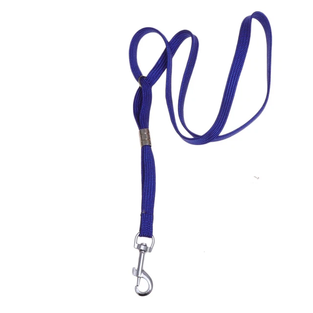 Accesorios de belleza para mascotas Maquillaje Accesorios cosméticos