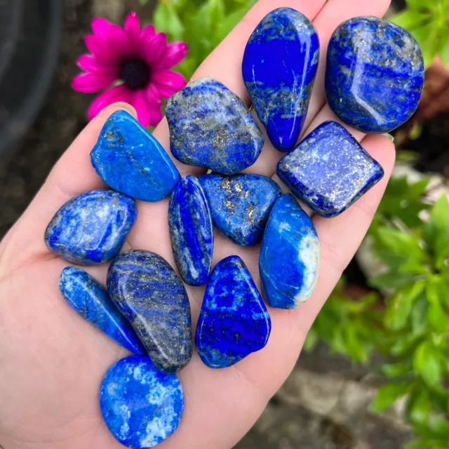 Lapis Lazuli Tumblestones Natural Crystal Healing Stones Blue Gold Stone UK