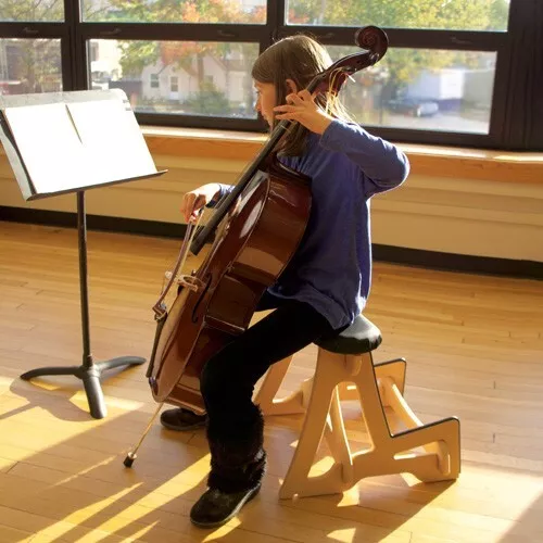 Cello Stand/Stool