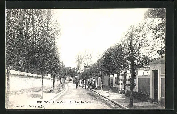 CPA Brunoy, La Rue des Vallées
