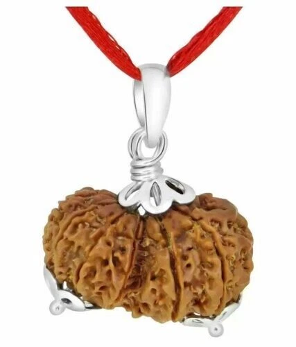 Gauri-Shankar Rudraksha Hindú Sagrado Muy Raro Cuenta (Certificado A++)